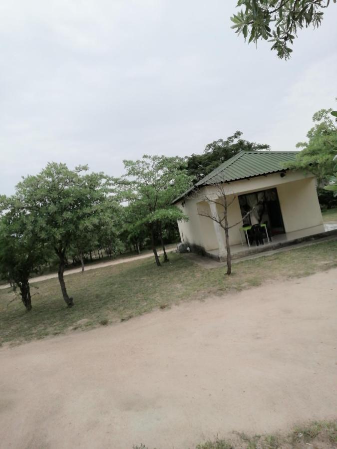 Moholoholo Lodge Acornhoek Buitenkant foto